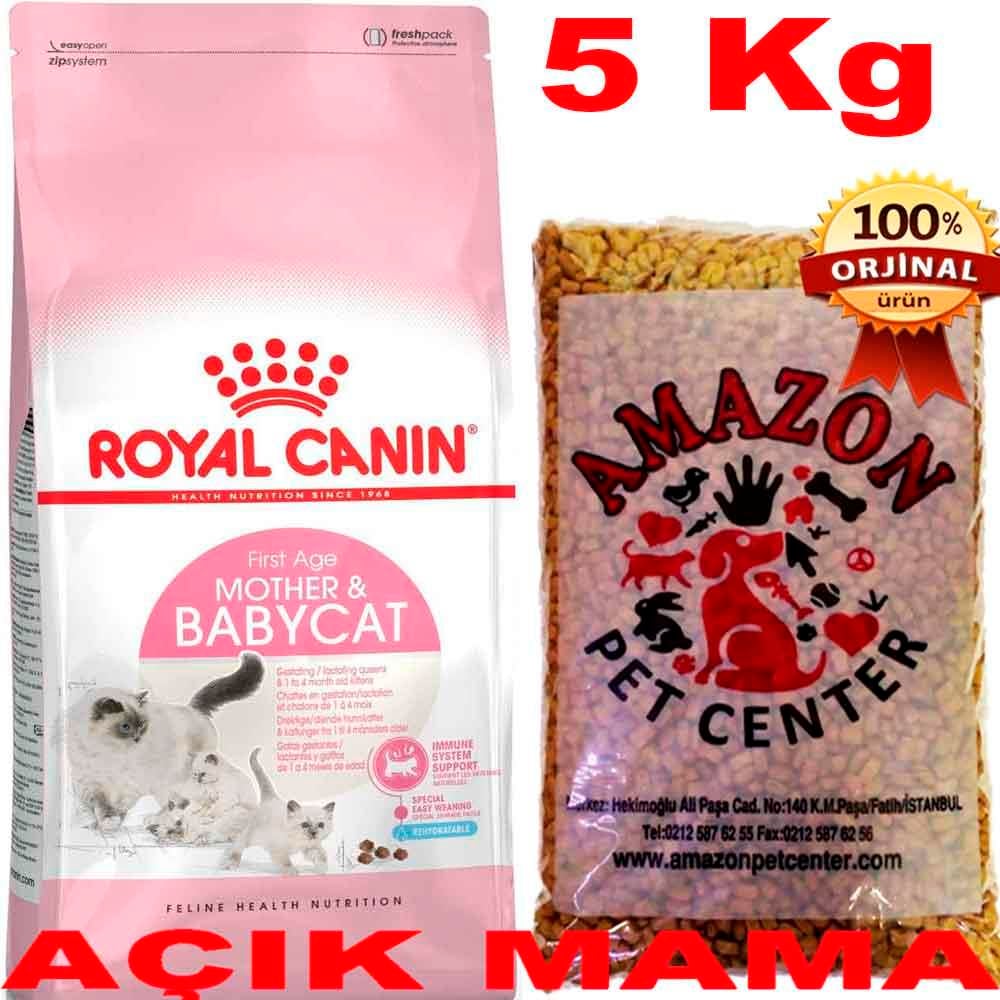 Royal Canin BabyCat Yavru Kedi Maması Açık 5 Kg 32135367 Amazon Pet Center