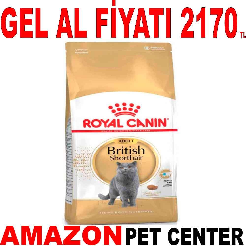 Royal Canin British Shorthair Kedi Maması 4 Kg 18347005 Amazon Pet Center