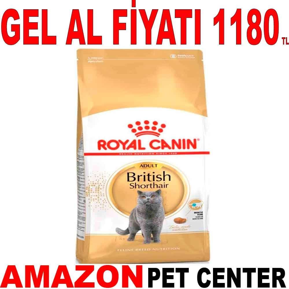 Royal Canin British Shorthair Kedi Maması 2 Kg 18346008 Amazon Pet Center