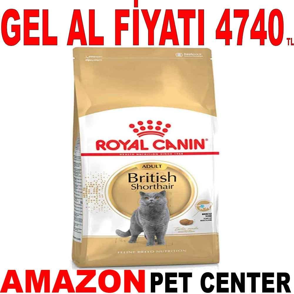 Royal Canin British Shorthair Kedi Maması 10 Kg 18345001 Amazon Pet Center