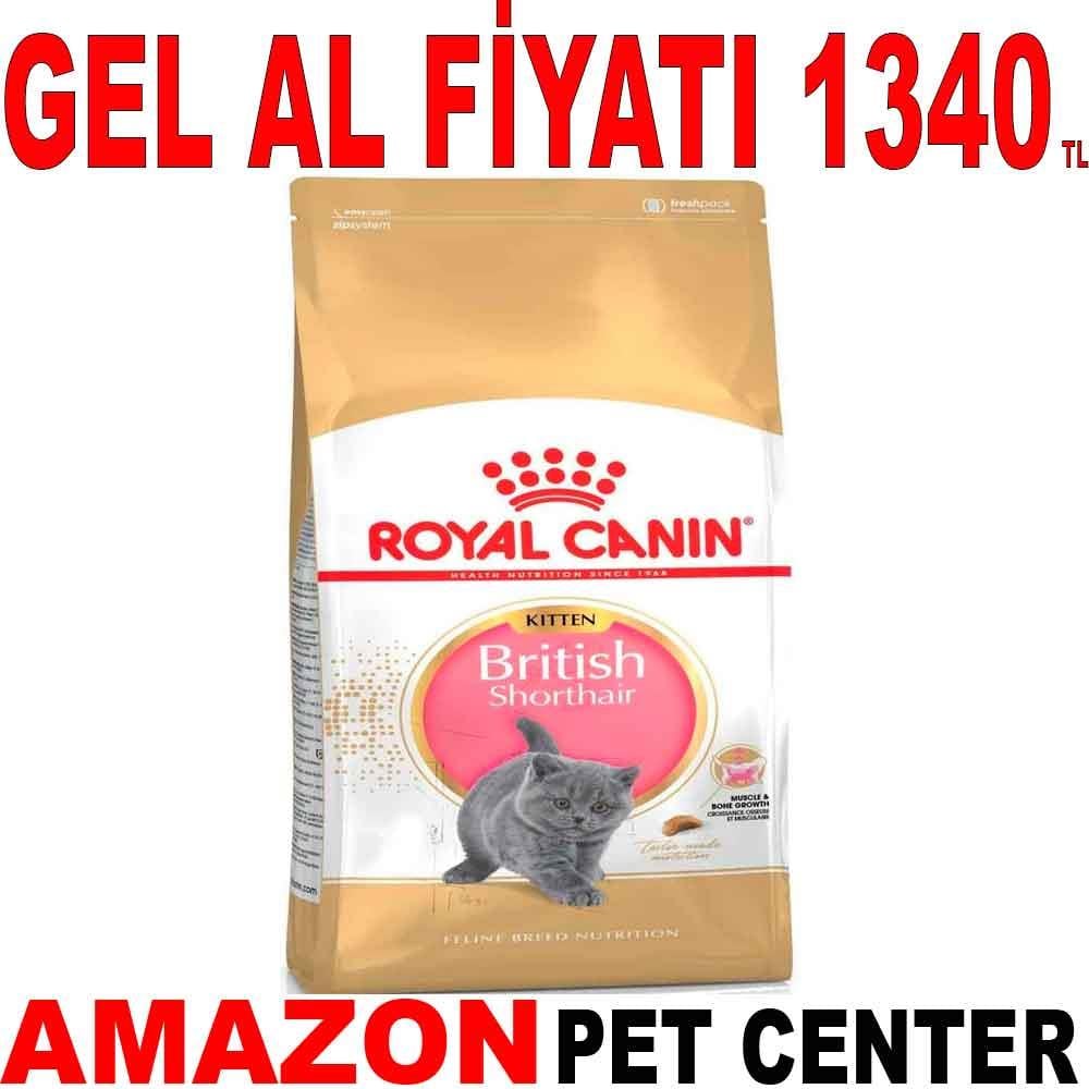 Royal Canin British Shorthair Kitten 2 kg 18344004 Amazon Pet Center