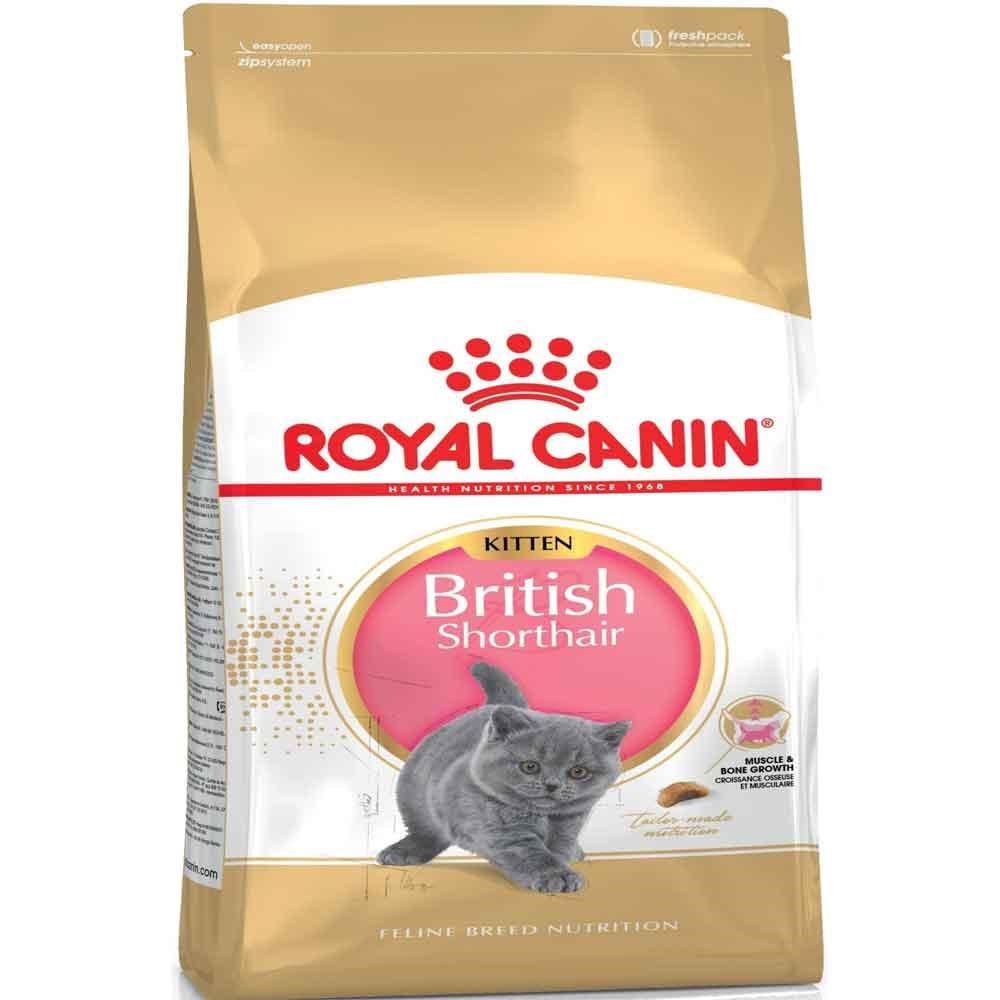 Royal Canin British Shorthair Kitten 2 kg 3182550816533 Royal Canin Yavru Kedi Mamaları Amazon Pet Center