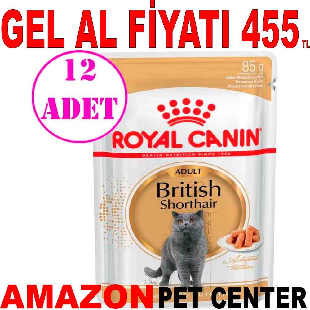 Royal Canin British Shorthair Yetişkin Kedi Konservesi 85 Gr 12 Ad 18407006 Amazon Pet Center