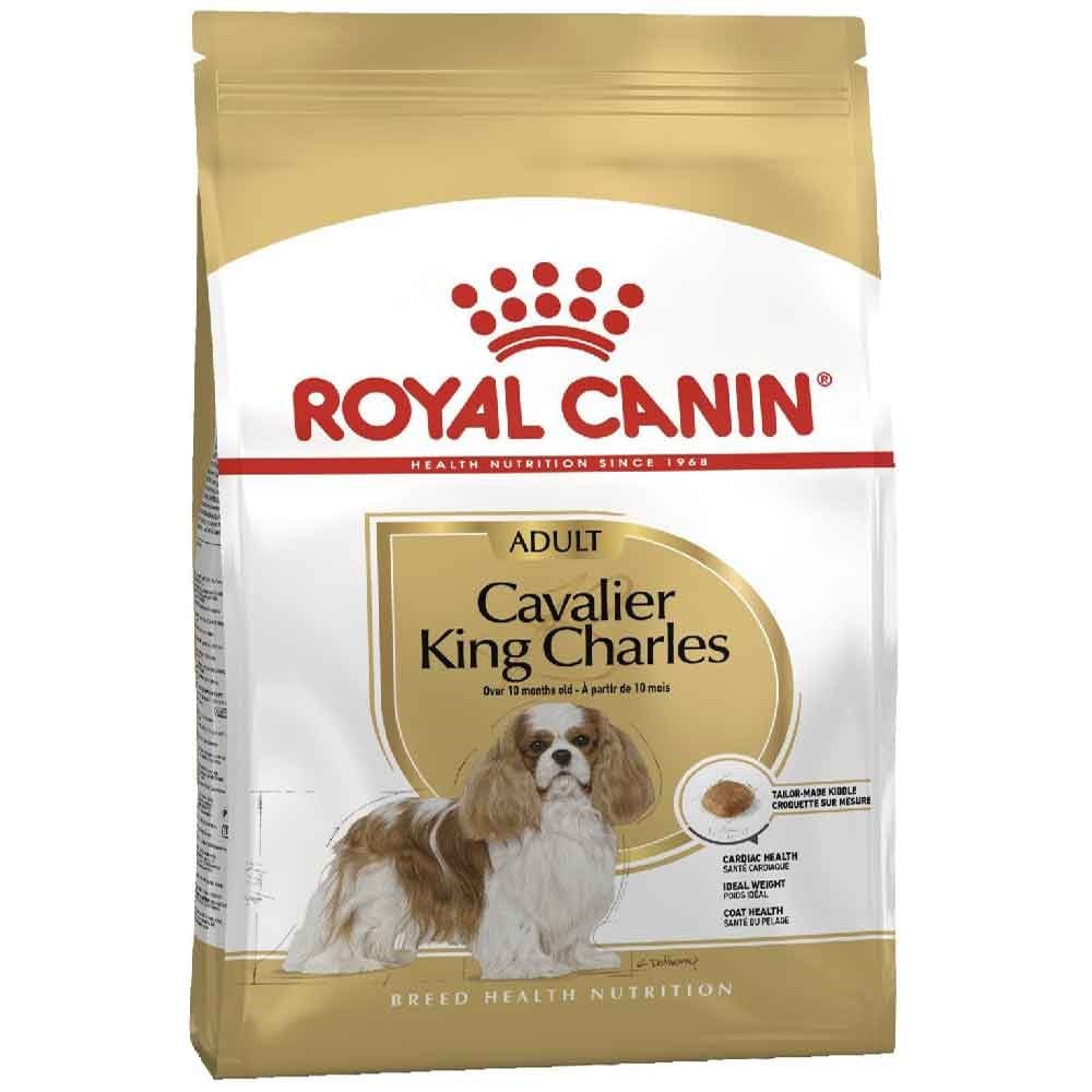 Royal Canin Cavalier King Charles 3 kg 3182550777698 Royal Canin Özel Irk Köpek Mamaları Amazon Pet Center