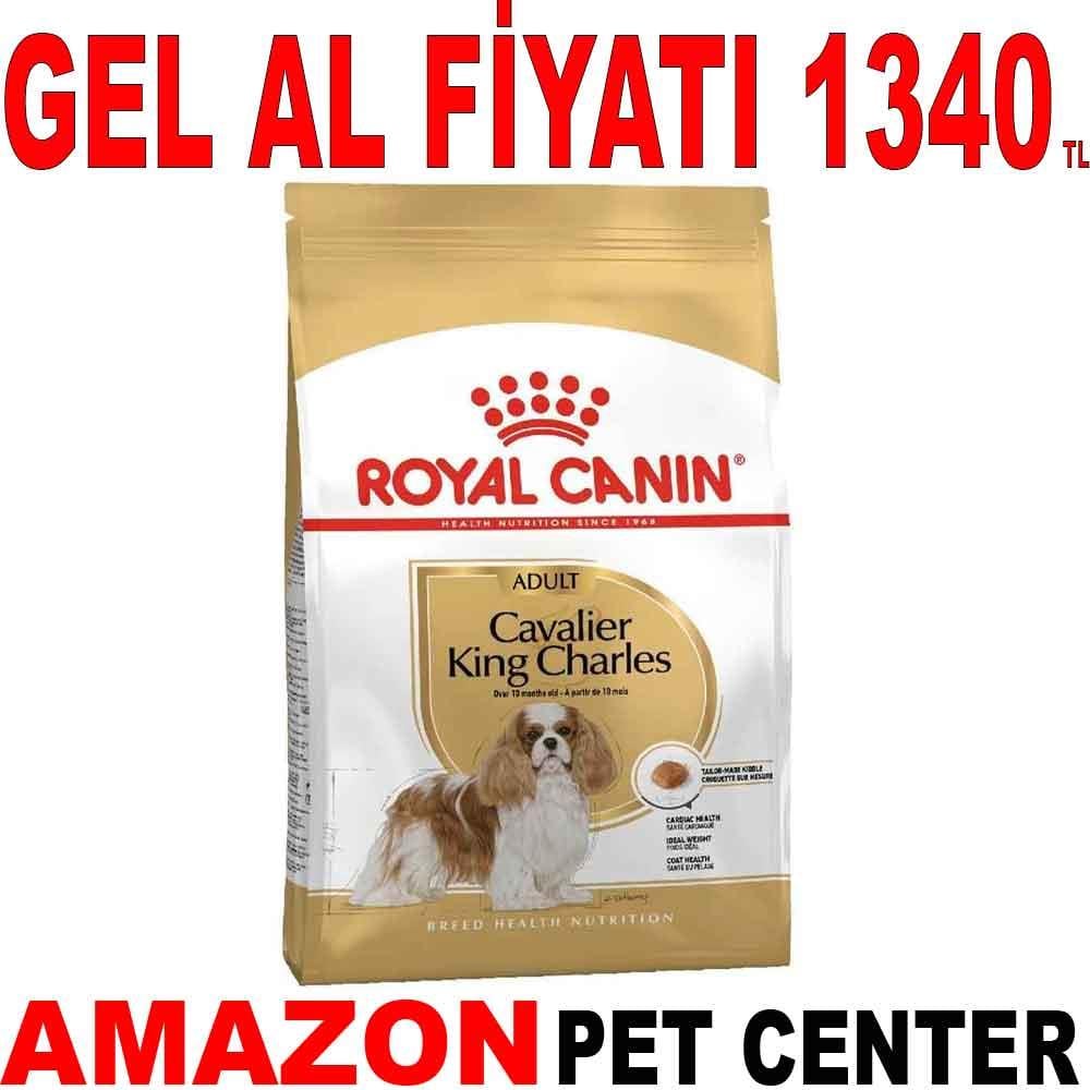 Royal Canin Cavalier King Charles Köpek Maması 3 kg 18321005 Amazon Pet Center