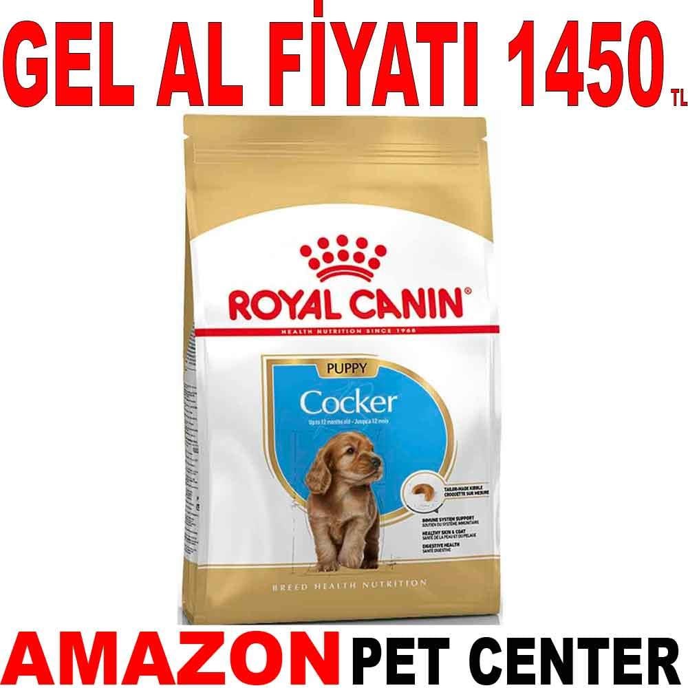 Royal Canin Cocker Junior Yavru Köpek Maması 3 Kg 18327007 Amazon Pet Center