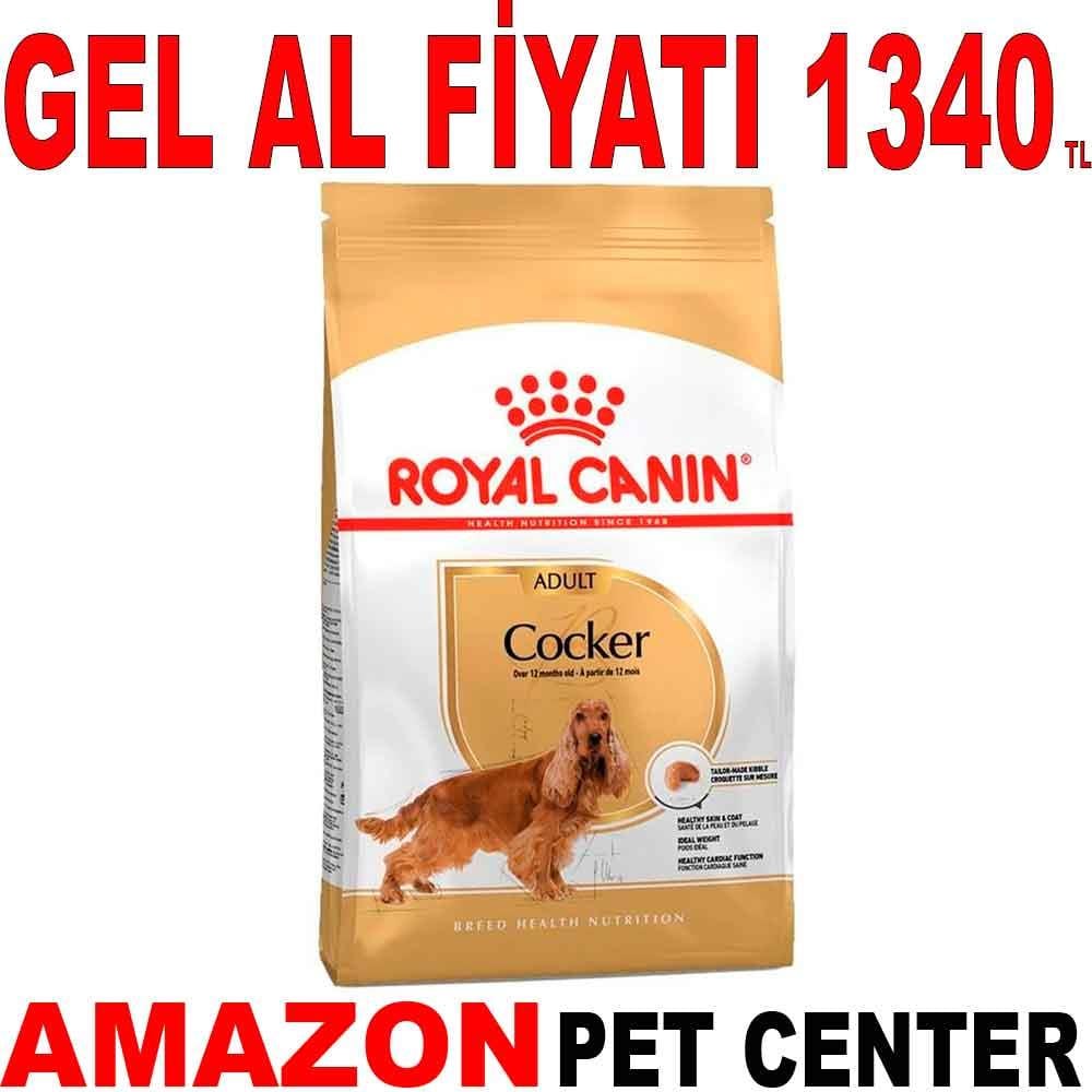 Royal Canin Cocker Spaniel Köpek Maması 3 kg 18326000 Amazon Pet Center