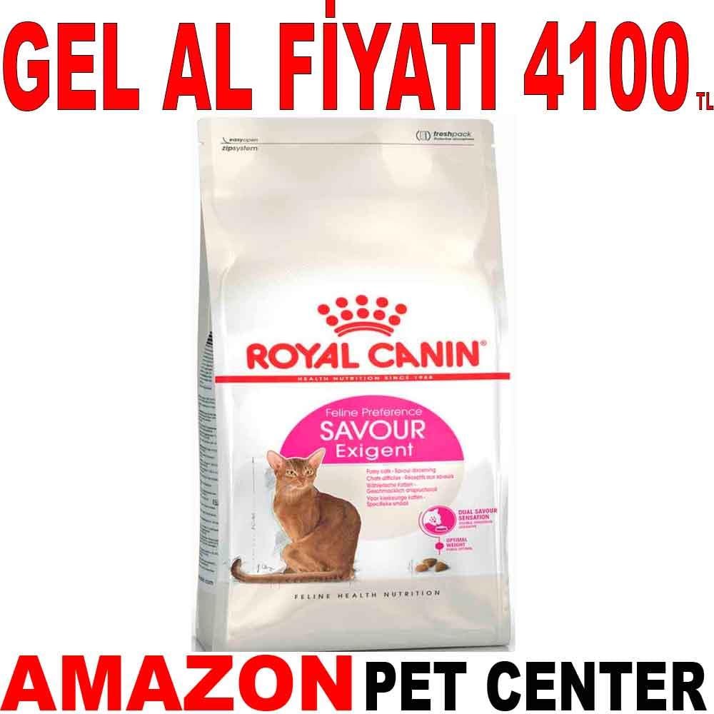 Royal Canin Exigent Kedi Maması 10 Kg 18366006 Amazon Pet Center