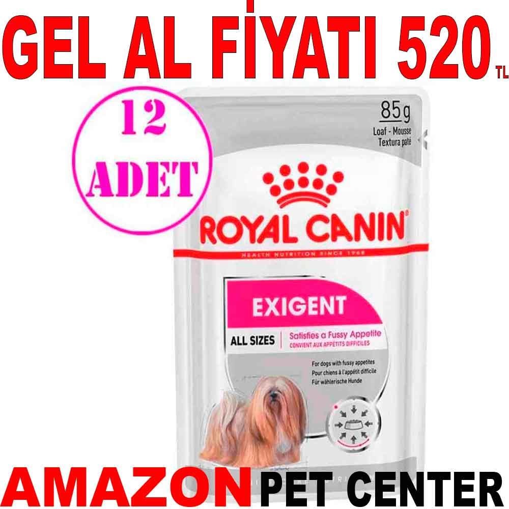 Royal Canin Exigent Köpek Konservesi 85 gr 12 Ad 18408003 Amazon Pet Center