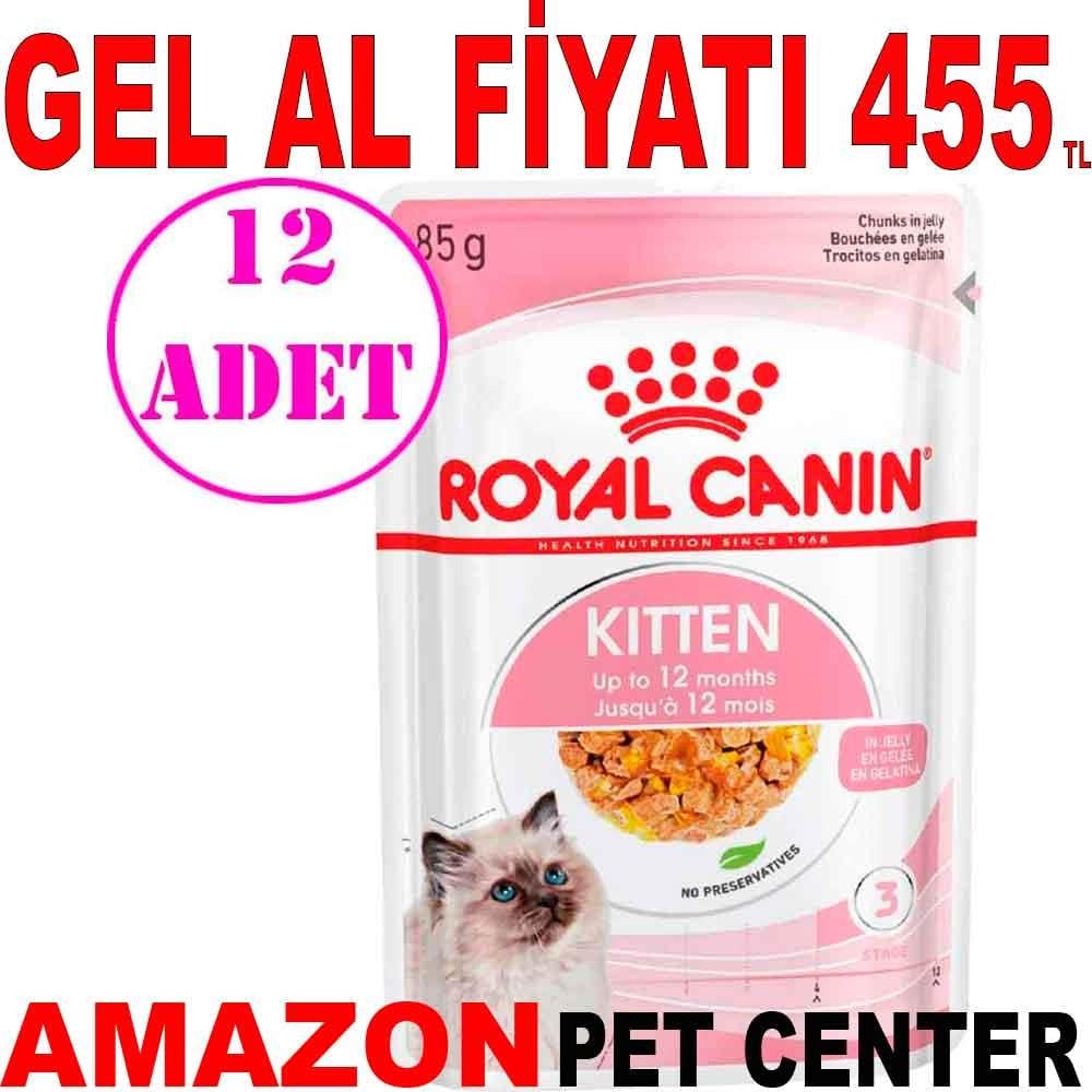 Royal Canin Jelly Kitten Yaş Yavru Kedi Konservesi 85 Gr 12 Adet 18412000 Amazon Pet Center