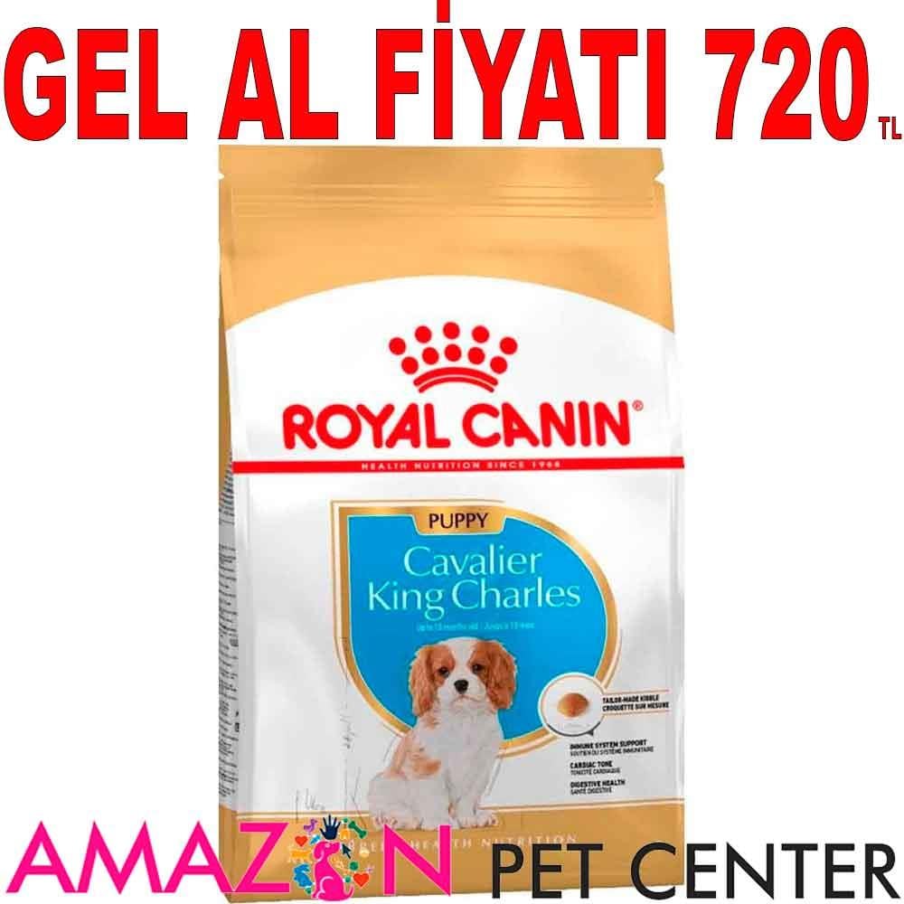 Royal Canin Junior King Charles Yavru Köpek Maması 1,5 Kg 18323009 Amazon Pet Center
