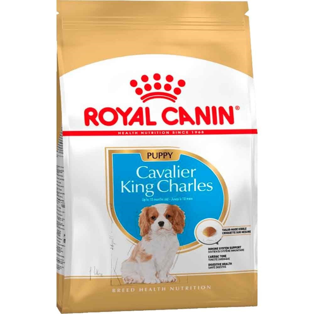 Royal Canin Junior King Charles Yavru Köpek Maması 1,5 Kg 3182550813051 Royal Canin Yavru Köpek Mamaları Amazon Pet Center