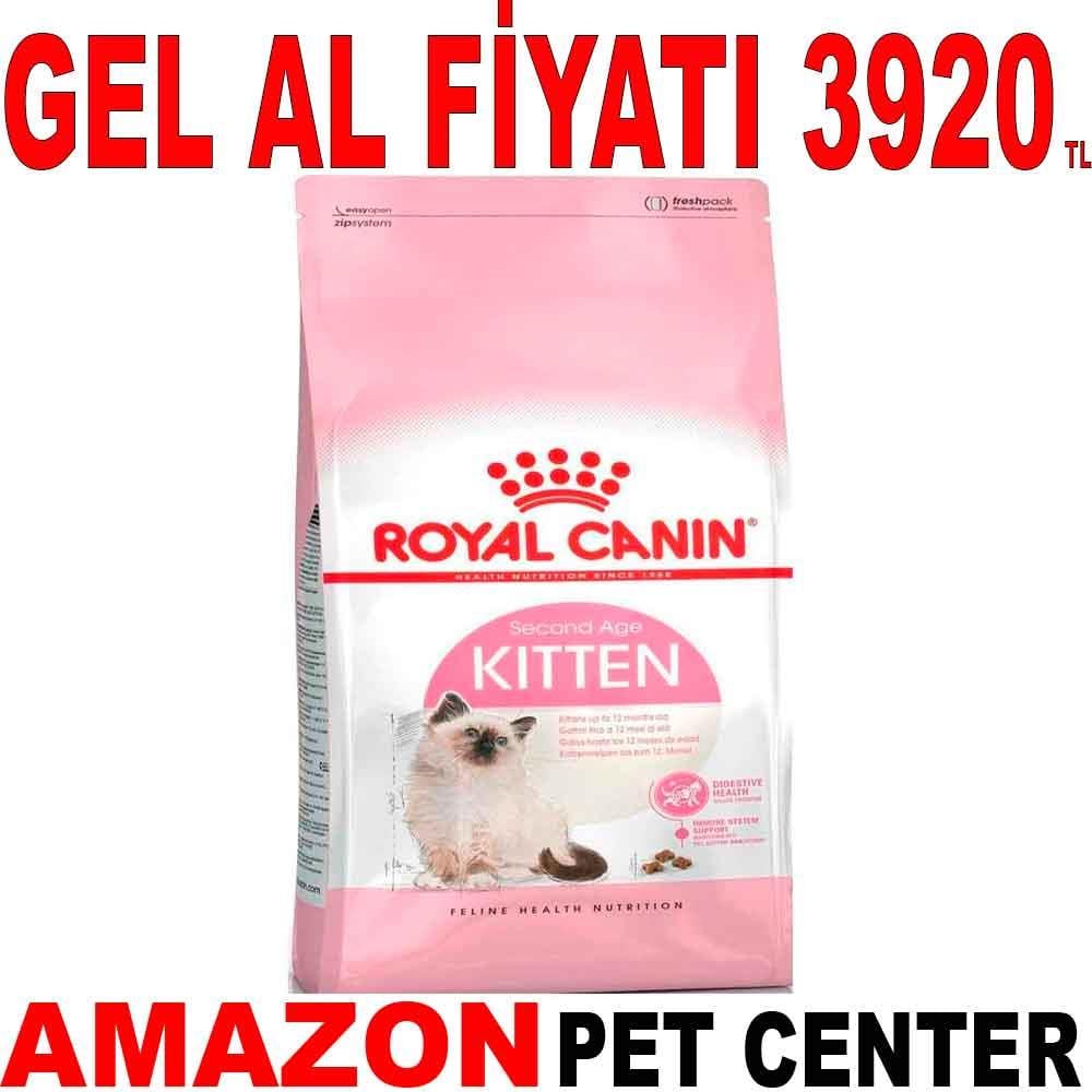 Royal Canin Kitten 10 Kg 18375008 Amazon Pet Center