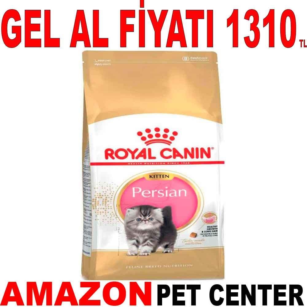 Royal Canin Kitten Persian 2 Kg 18352009 Amazon Pet Center