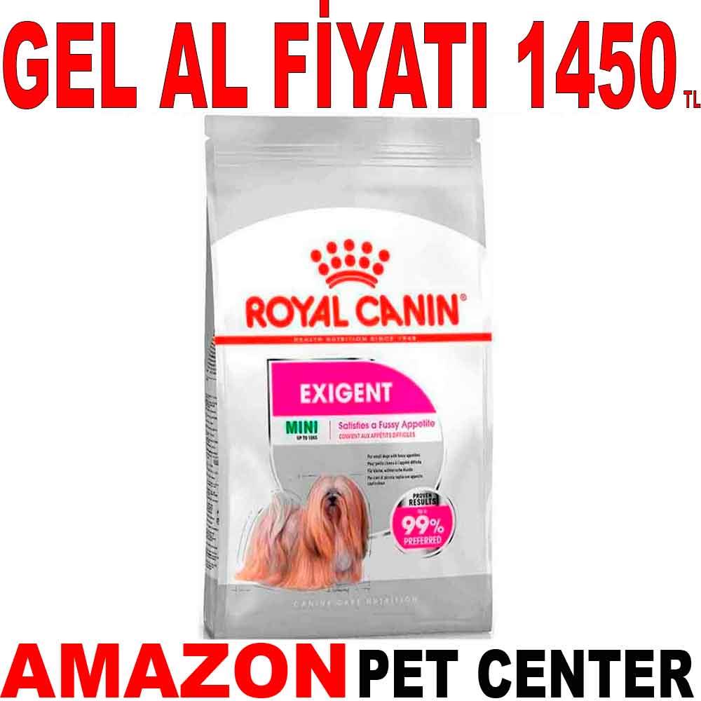 Royal Canin Köpek Maması Mini Exigent 3 kg 18341003 Amazon Pet Center