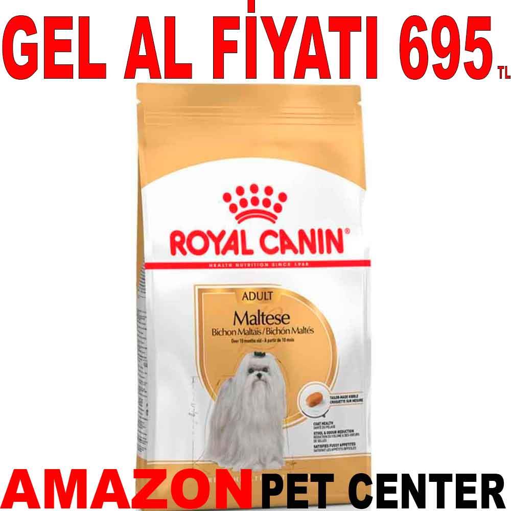 Royal Canin Maltese Köpek Maması 1.5 kg 18330007 Amazon Pet Center