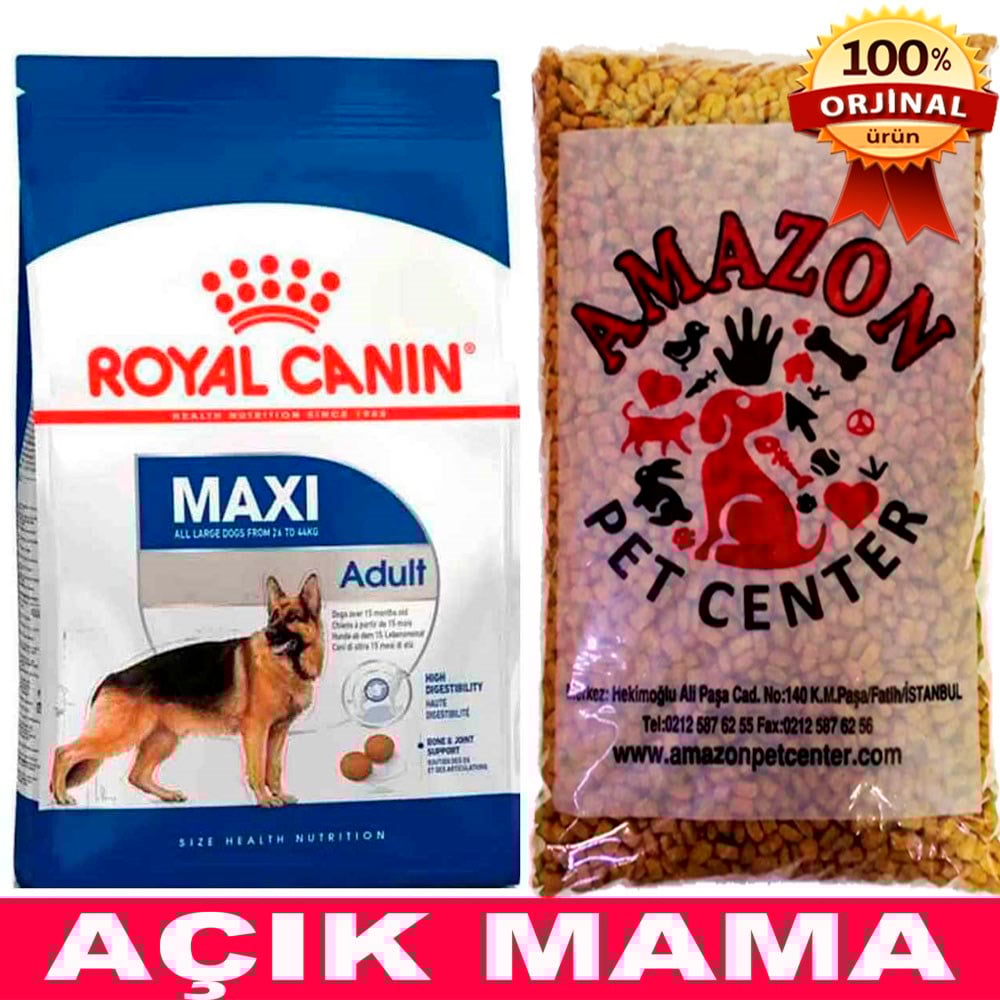 Royal Canin Maxi Adult Büyük Irk Yetişkin Köpek Maması Açık 1 Kg 32132632 Amazon Pet Center