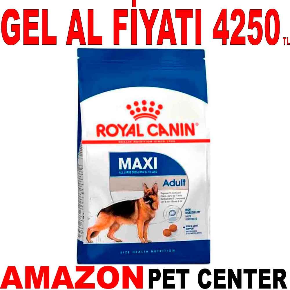 Royal Canin Maxi Adult Büyük Irk Yetişkin Kuru Köpek Maması 15 Kg 18668001 Amazon Pet Center