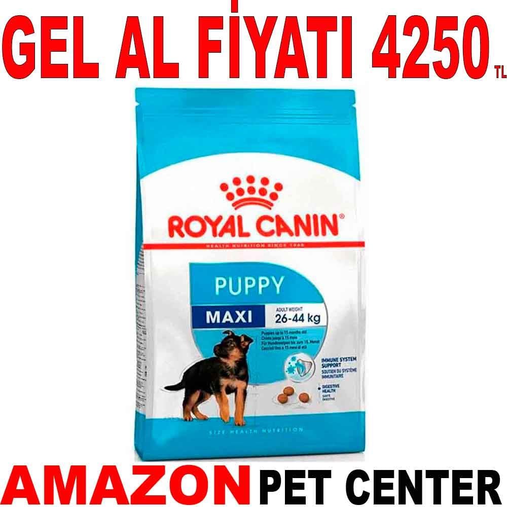 Royal Canin Maxi Puppy Büyük Irk Yavru Köpek Maması 15 Kg 18667004 Amazon Pet Center