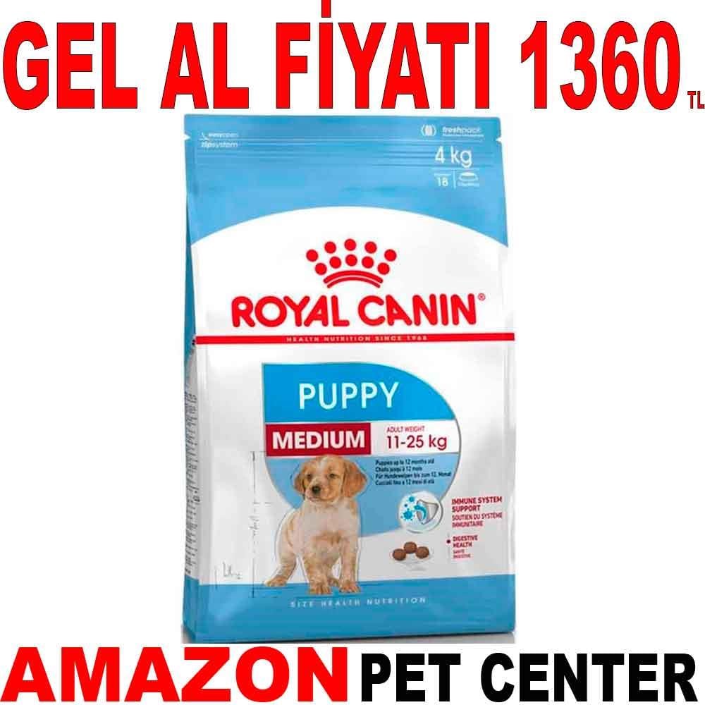 Royal Canin Medium Yavru Köpek Maması 4 Kg 19025001 Amazon Pet Center