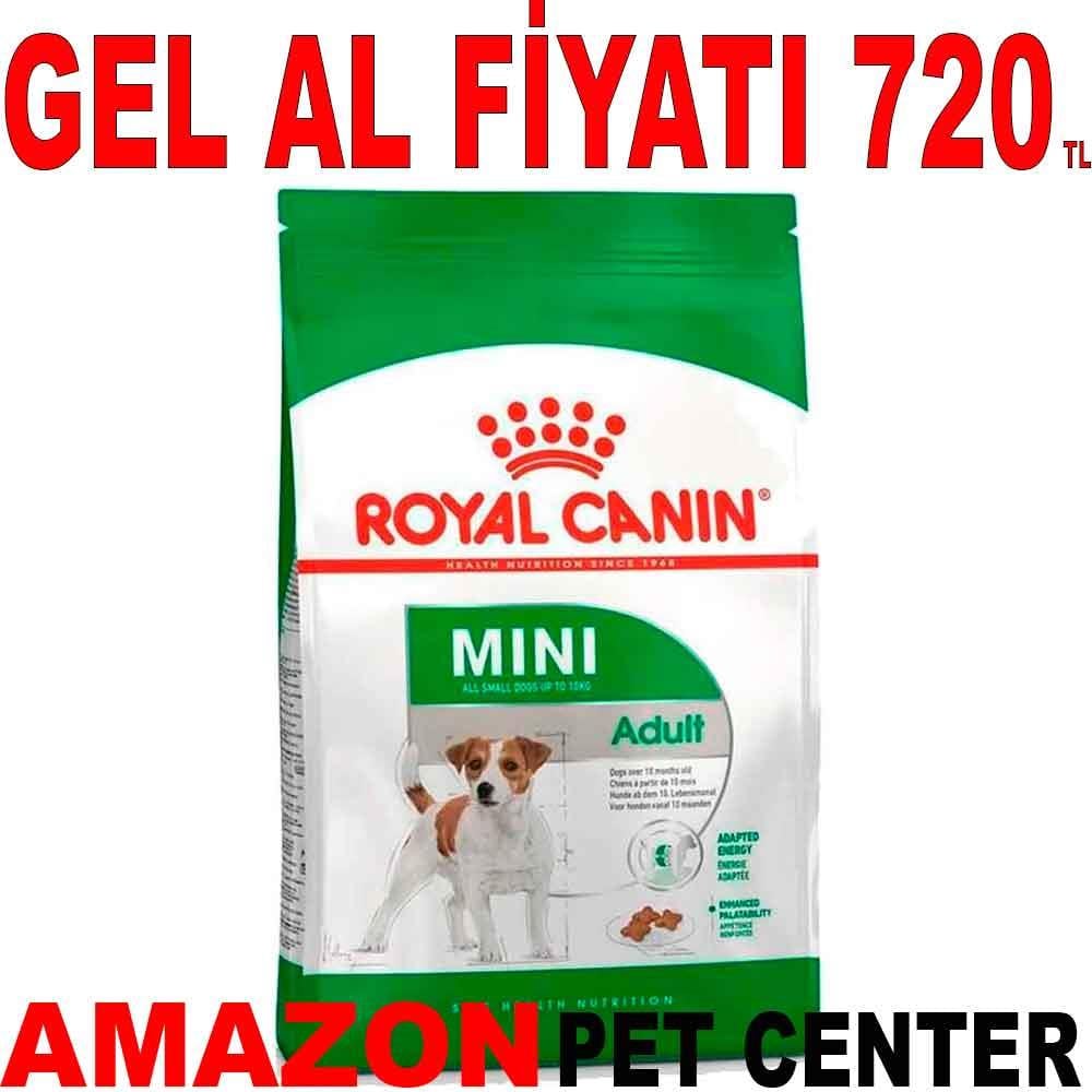 Royal Canin Mini Adult Küçük Irk Köpek Maması 2 Kg 18392005 Amazon Pet Center