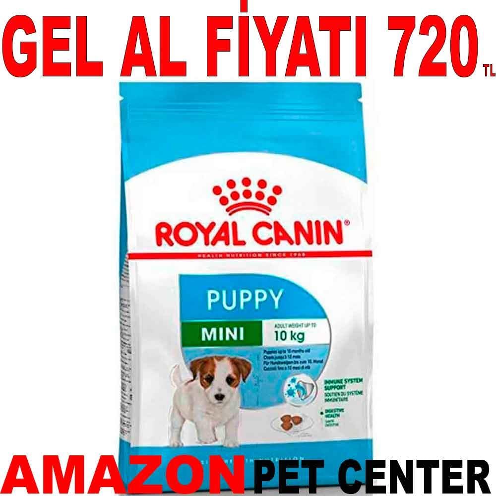 Royal Canin Mini Junior 2 kg 19283005 Amazon Pet Center