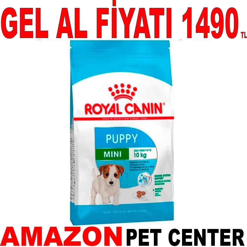 Royal Canin Mini Junior 4 kg 19282008 Amazon Pet Center