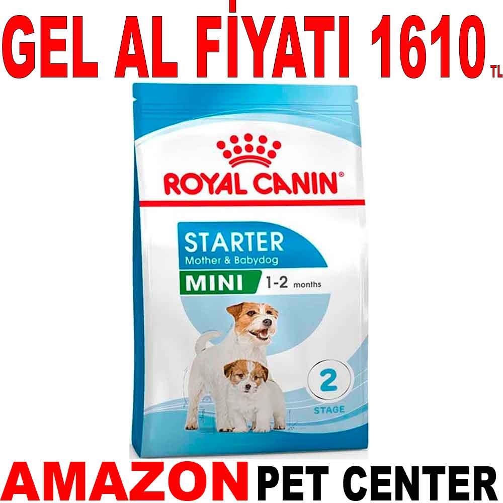 Royal Canin Mini Starter Yavru Köpek Maması 4 Kg 18397000 Amazon Pet Center