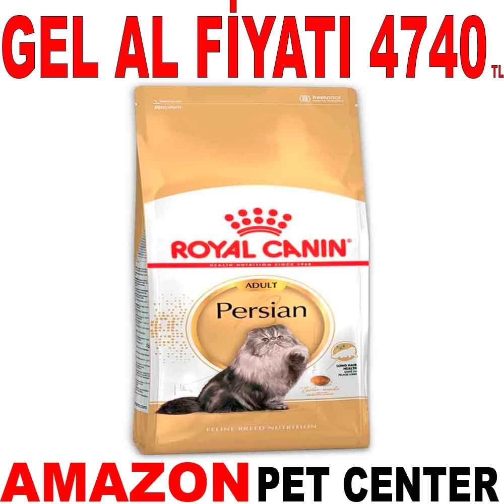 Royal Canin Persian Kedi Maması 10 kg 18348002 Amazon Pet Center