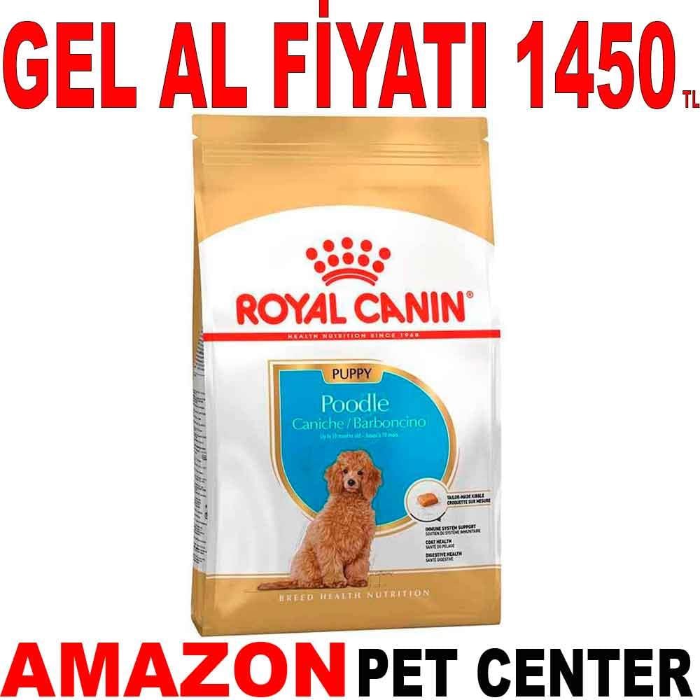 Royal Canin Poodle Yavru Köpek Maması 3 Kg 18334005 Amazon Pet Center