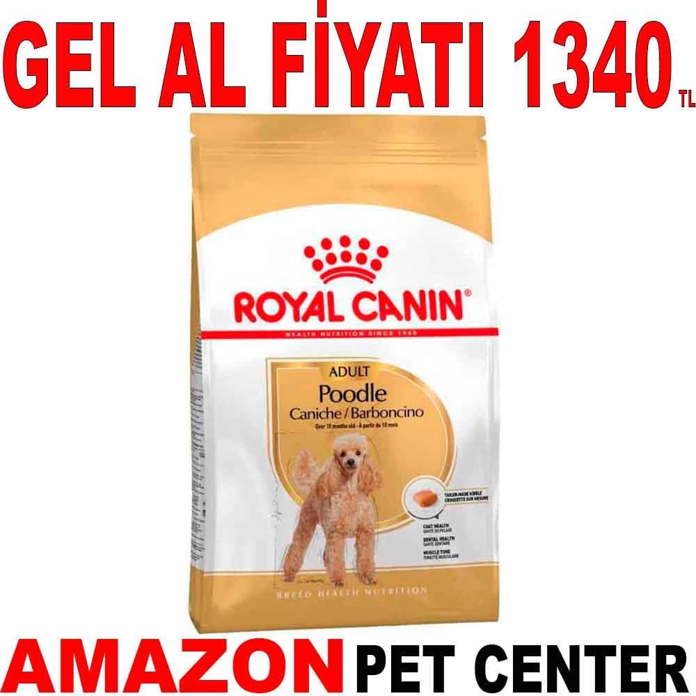 Royal Canin Poodle Yetişkin Köpek Maması 3 Kg 18333008 Amazon Pet Center