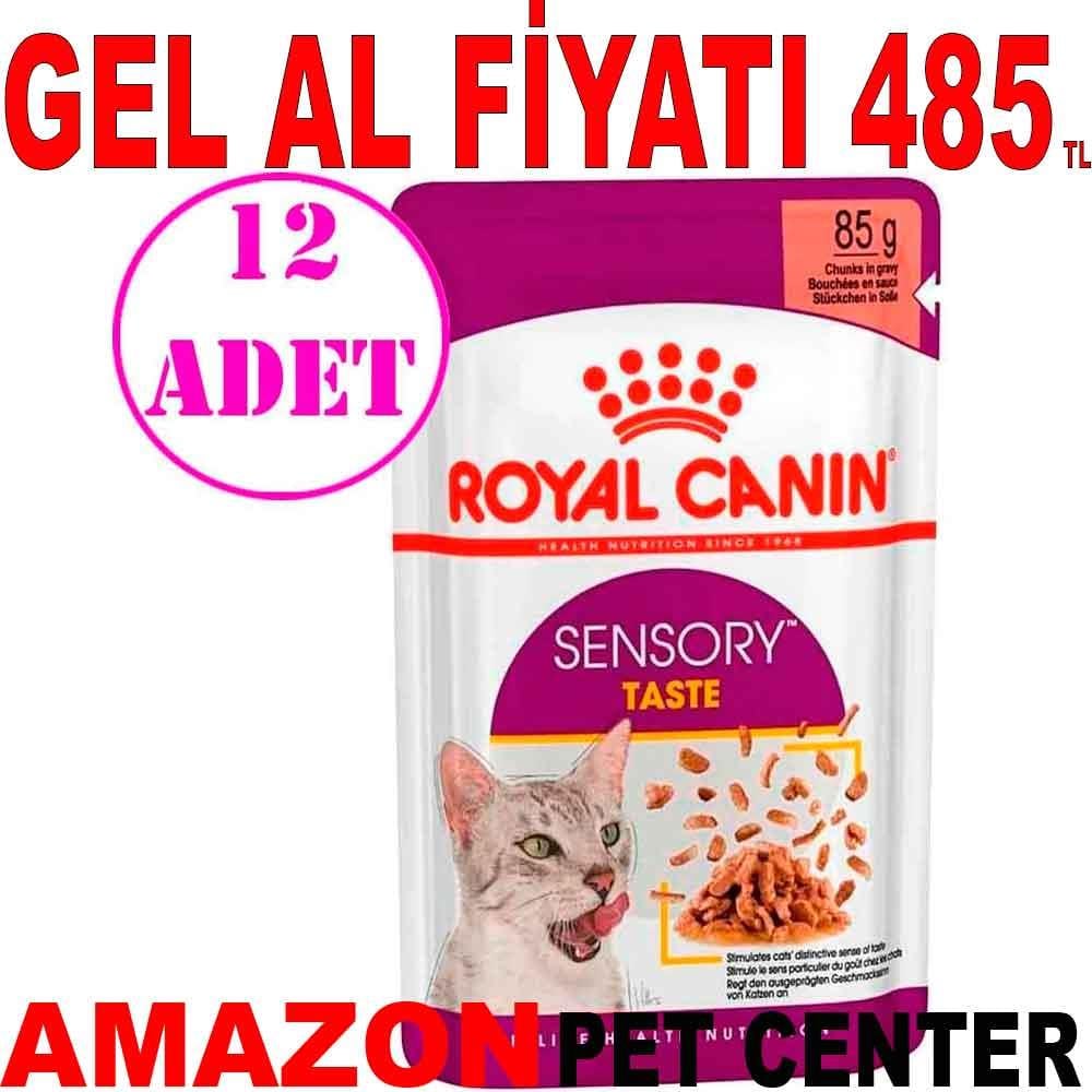 Royal Canin Sensory Taste Etli Soslu Kedi Konservesi 85 Gr 12 AD 20030001 Amazon Pet Center