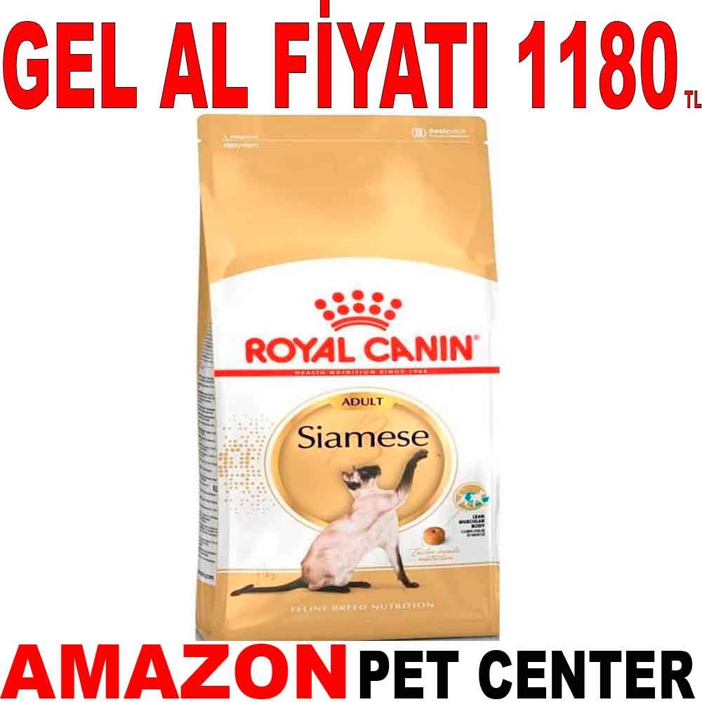 Royal Canin Siamese 38 2 Kg 18353006 Amazon Pet Center
