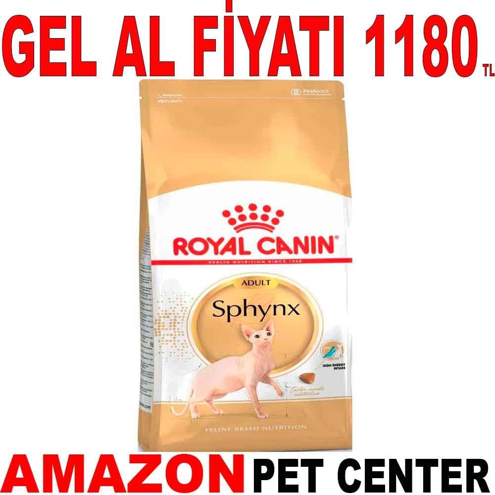 Royal Canin Sphynx Özel Irk Yetişkin Kedi Maması 2 Kg 18354003 Amazon Pet Center
