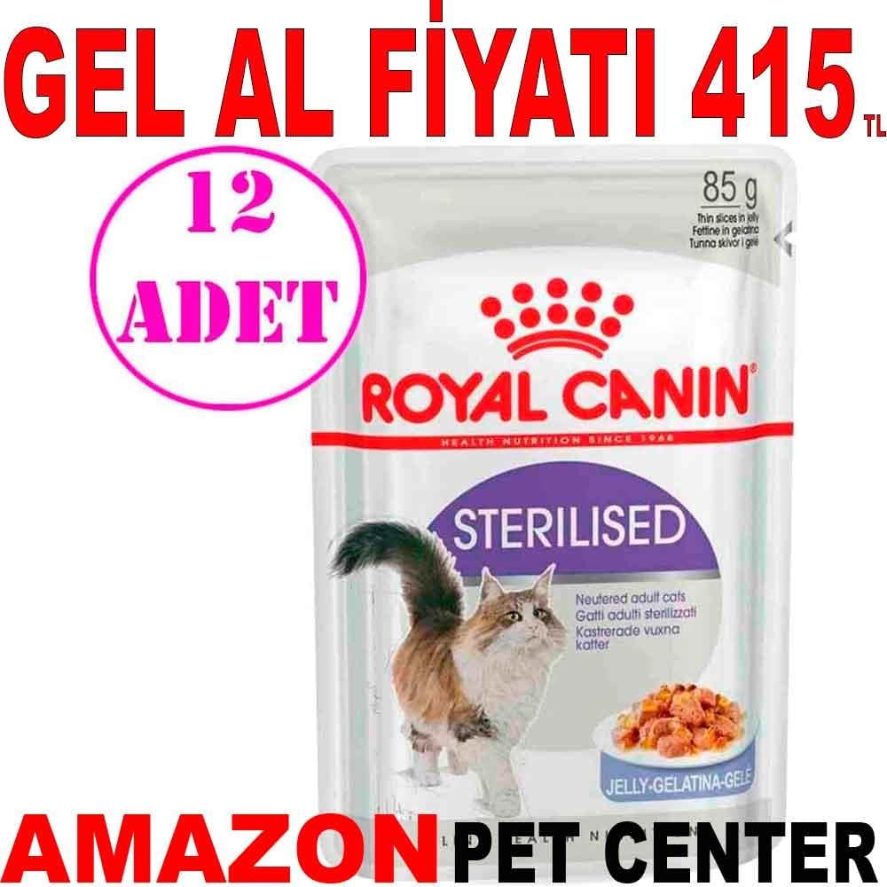 Royal Canin Sterilised jely Yaş Kedi Maması 85 Gr 12 Ad 18402001 Amazon Pet Center