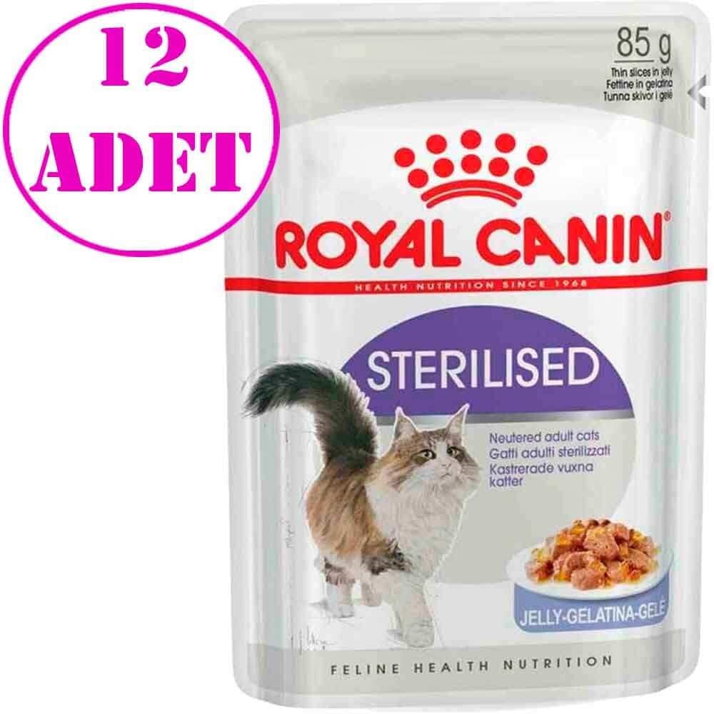 Royal Canin Sterilised jely Yaş Kedi Maması 85 Gr 12 Ad 32120790 Royal Canin Yetişkin Kedi Konserve Mamaları Amazon Pet Center