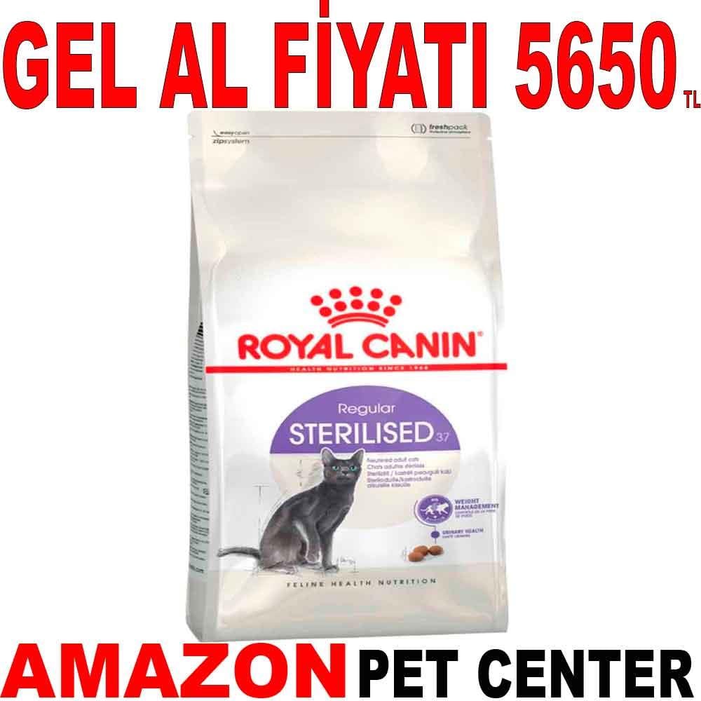 Royal Canin Sterilised Kedi Maması 15 Kg 18389005 Amazon Pet Center