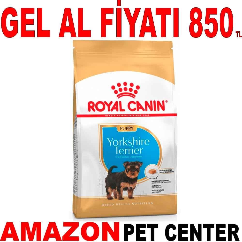 Royal Canin Yorkshire Terrier Junior 1.5 Kg 18339000 Amazon Pet Center