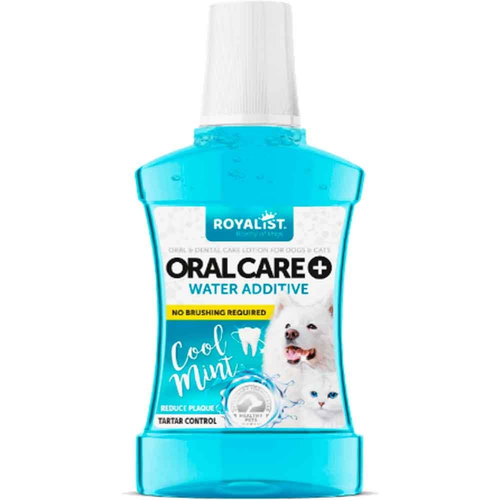 Royalist Kedi ve Köpekler Için Ağız Bakım Suyu 250 Ml COOL MİNT 8682291406505 Amazon Pet Center