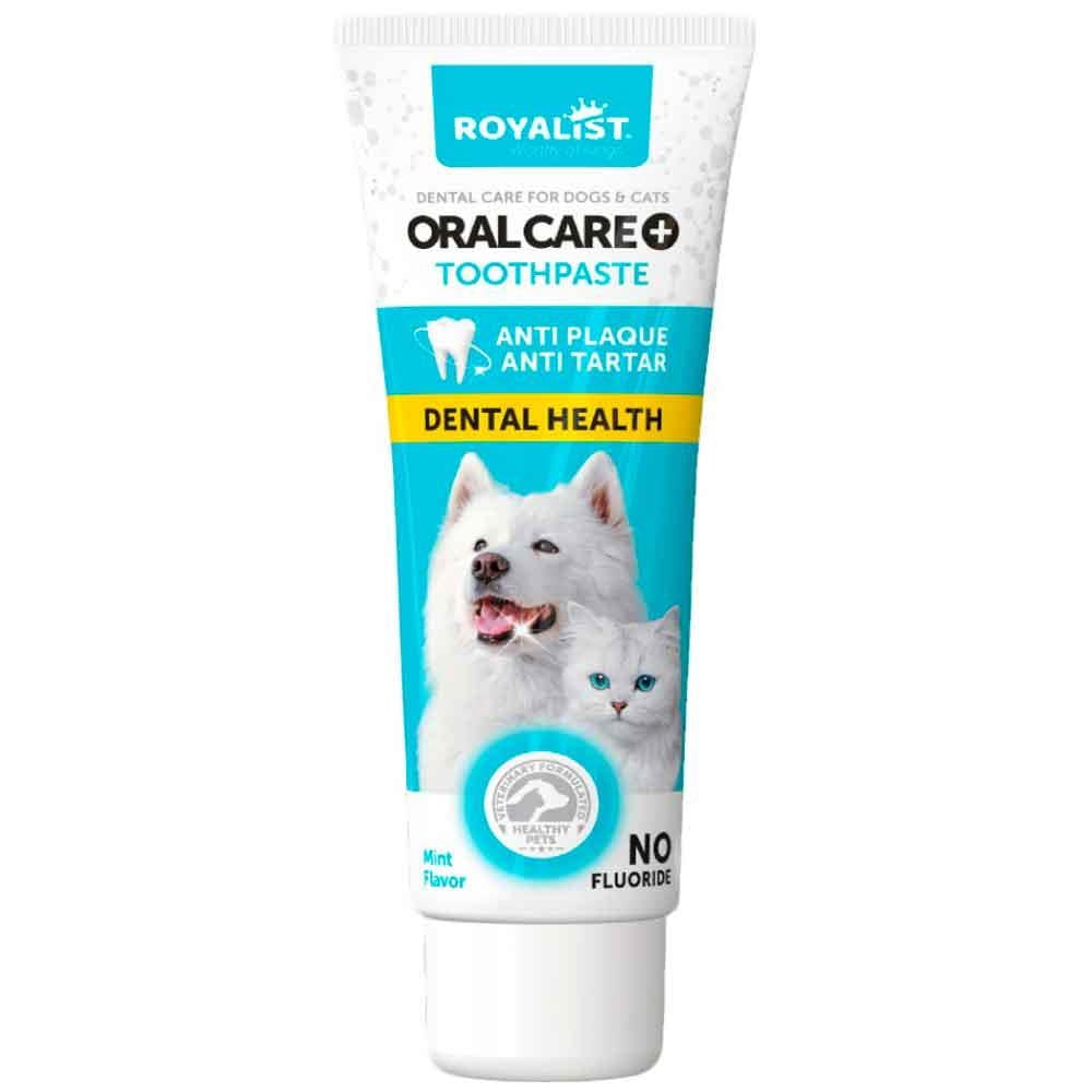 Royalist Kedi ve Köpekler Için Diş Macunu 100 gr 8682291406499 Amazon Pet Center