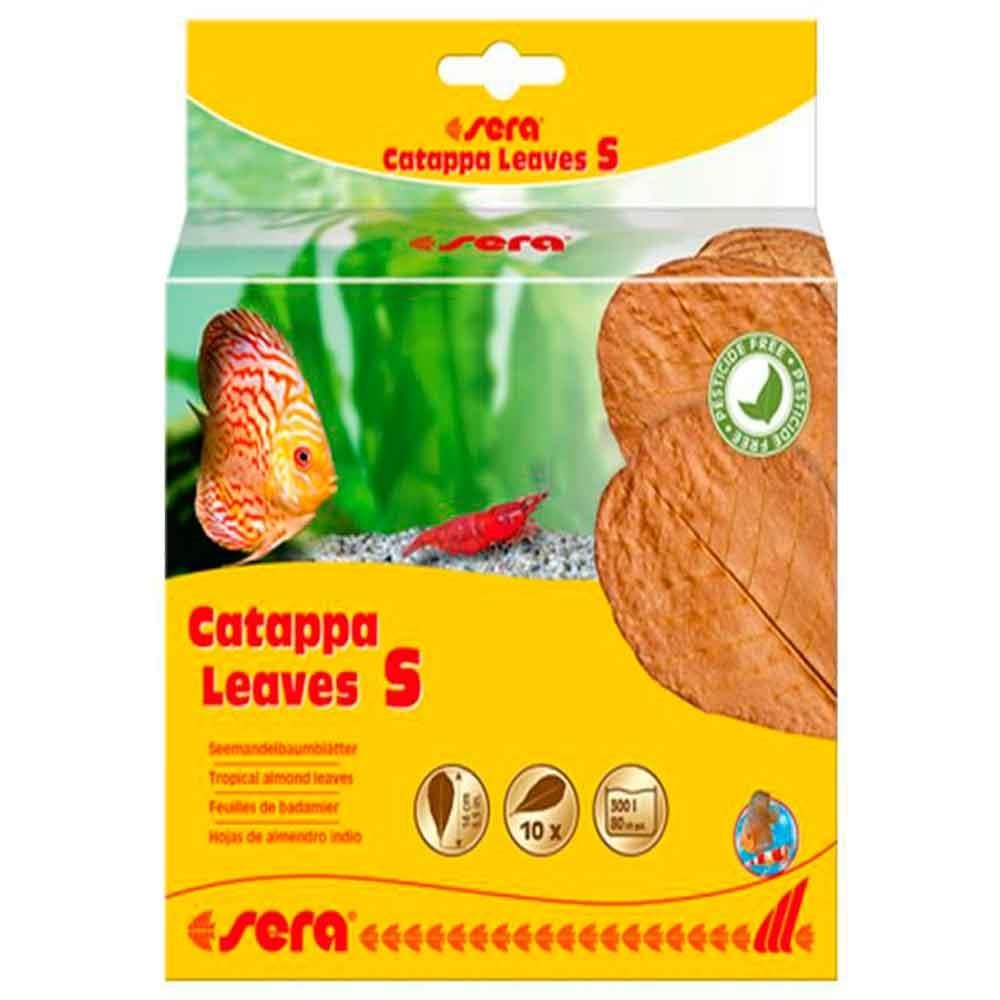 Sera Catappa Yaprağı S 14 Cm 10lu Paket 4001942452434 Amazon Pet Center