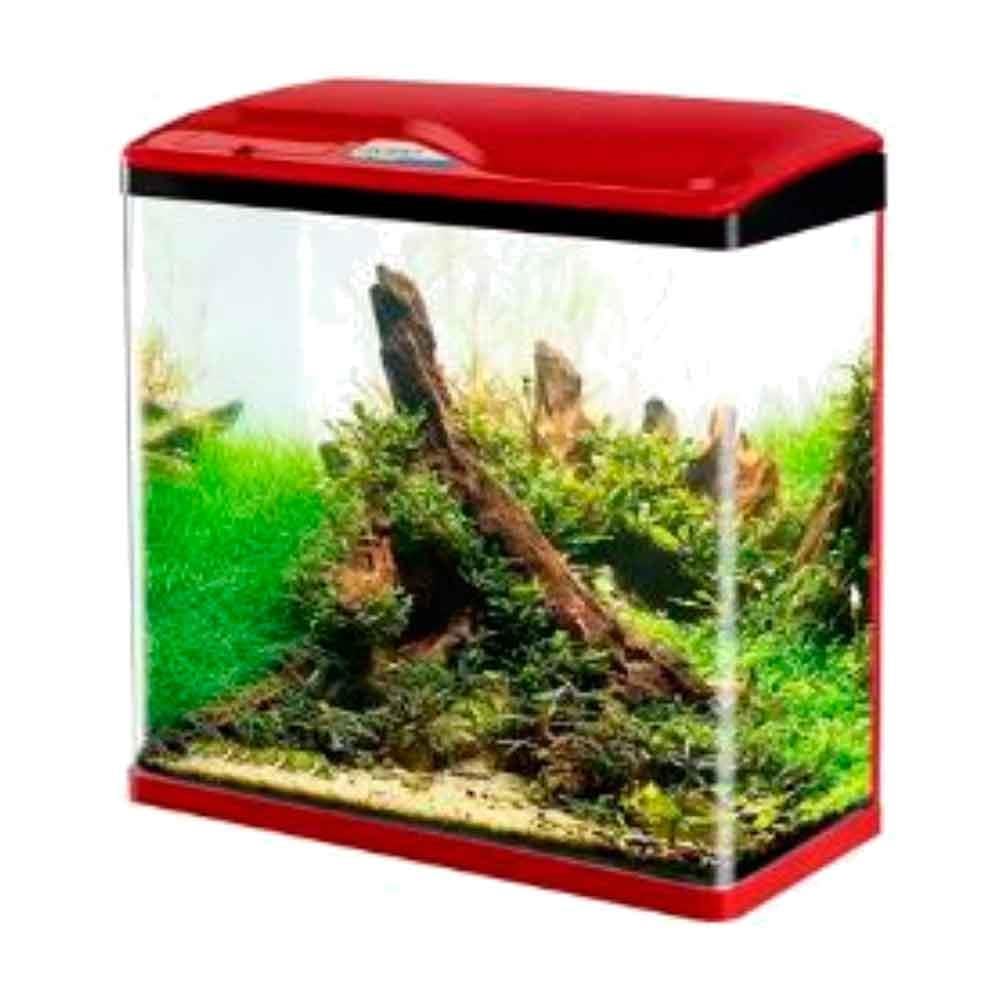 Sobo Sistemli Akvaryum 30 Cm Kırmızı 20534004 Amazon Pet Center