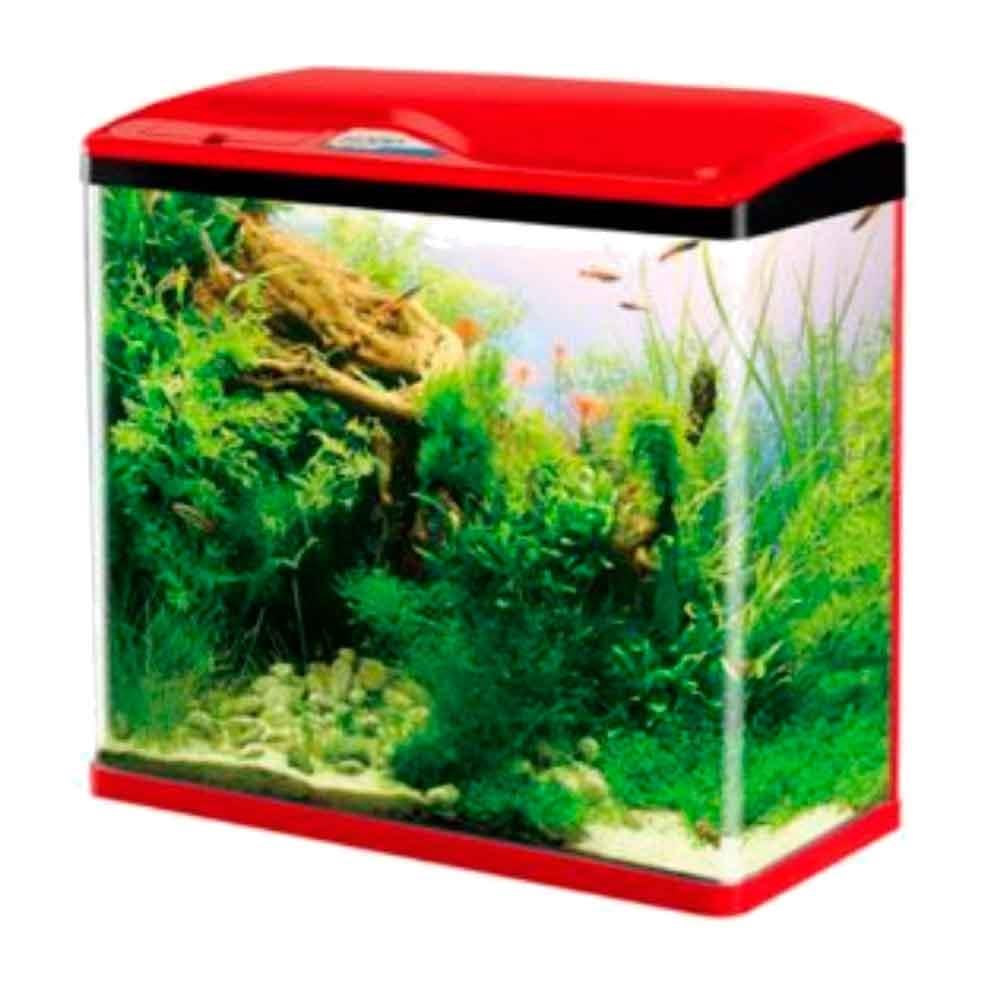 Sobo Sistemli Akvaryum 40 Cm Kırmızı 20536008 Amazon Pet Center
