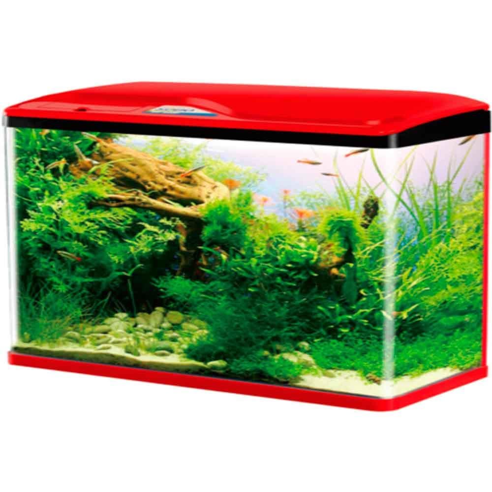Sobo Sistemli Akvaryum Kırmızı 60 x 23 x 55 cm 6925394870463 Amazon Pet Center