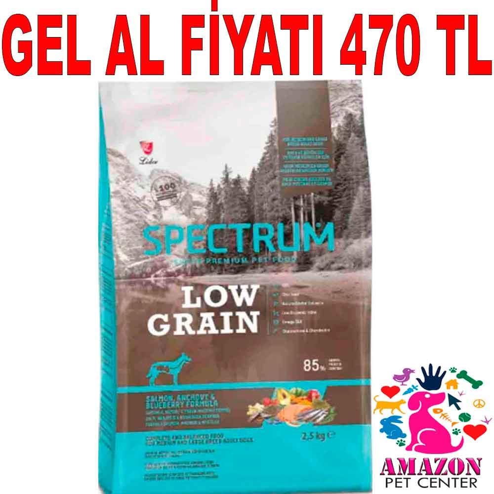 Spectrum Somonlu Hamsili Yaban Mersinli Orta Irk Köpek Maması 2.5 Kg 18954005 Amazon Pet Center