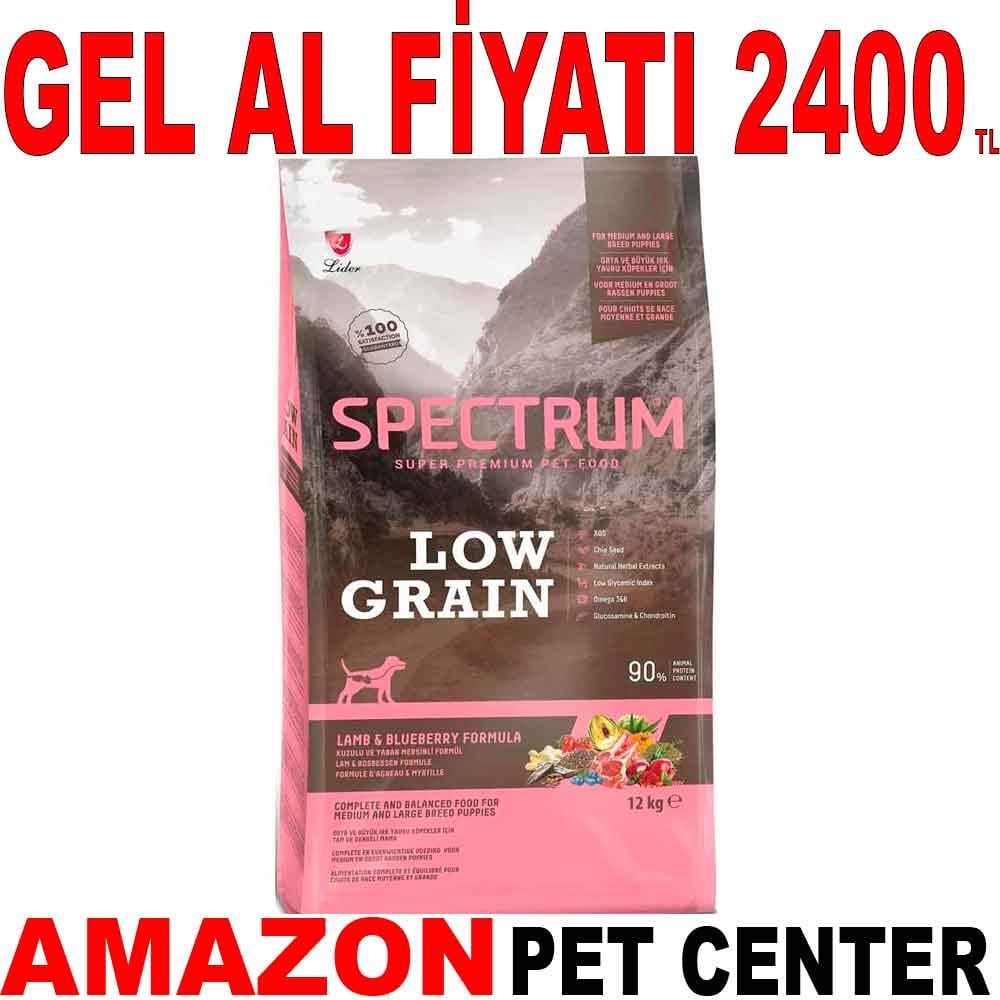 Spectrum Yavru Köpek Maması Kuzu Etli Yaban Mersinli Orta Irk 12 Kg 19076003 Amazon Pet Center