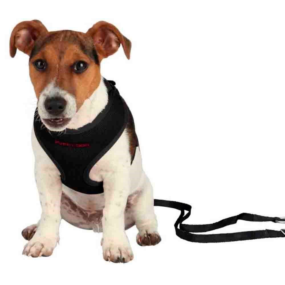 Trixie Yavru Köpek Göğüs Tasma ve Kayışı 33-47cm/2m/10mm 4011905155913 Amazon Pet Center