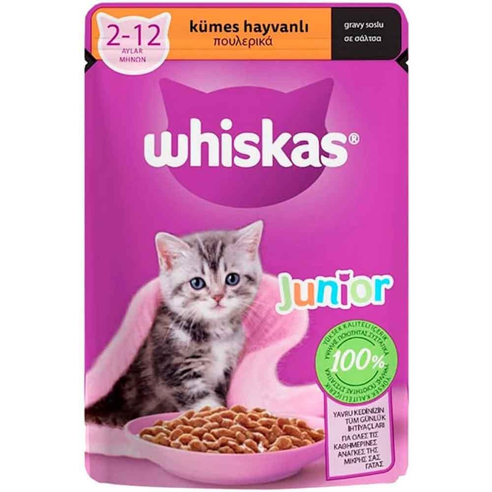 Whiskas Junior Kümes Hayvanlı Yavru Kedi Konserve Maması 100 Gr 5900951301964 Amazon Pet Center