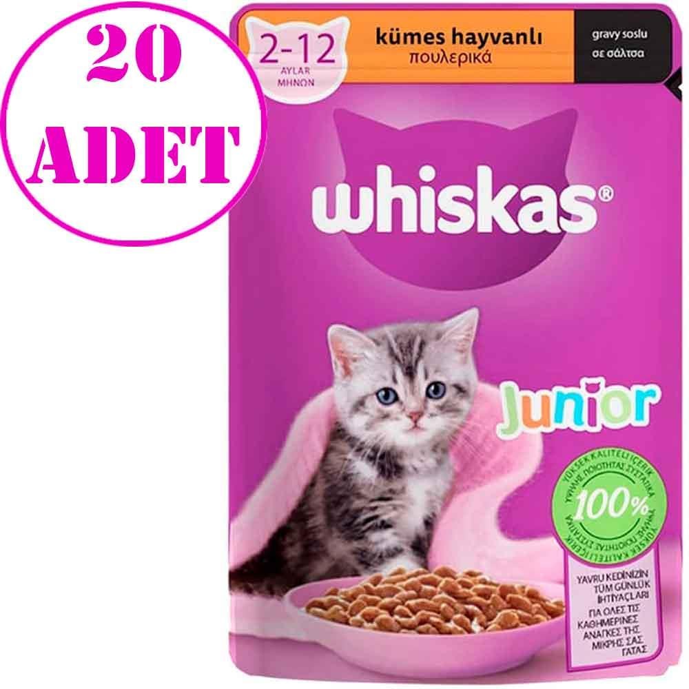 Whiskas Junior Tavuklu Yaş Mama 85 Gr 20 AD 17892001 Amazon Pet Center