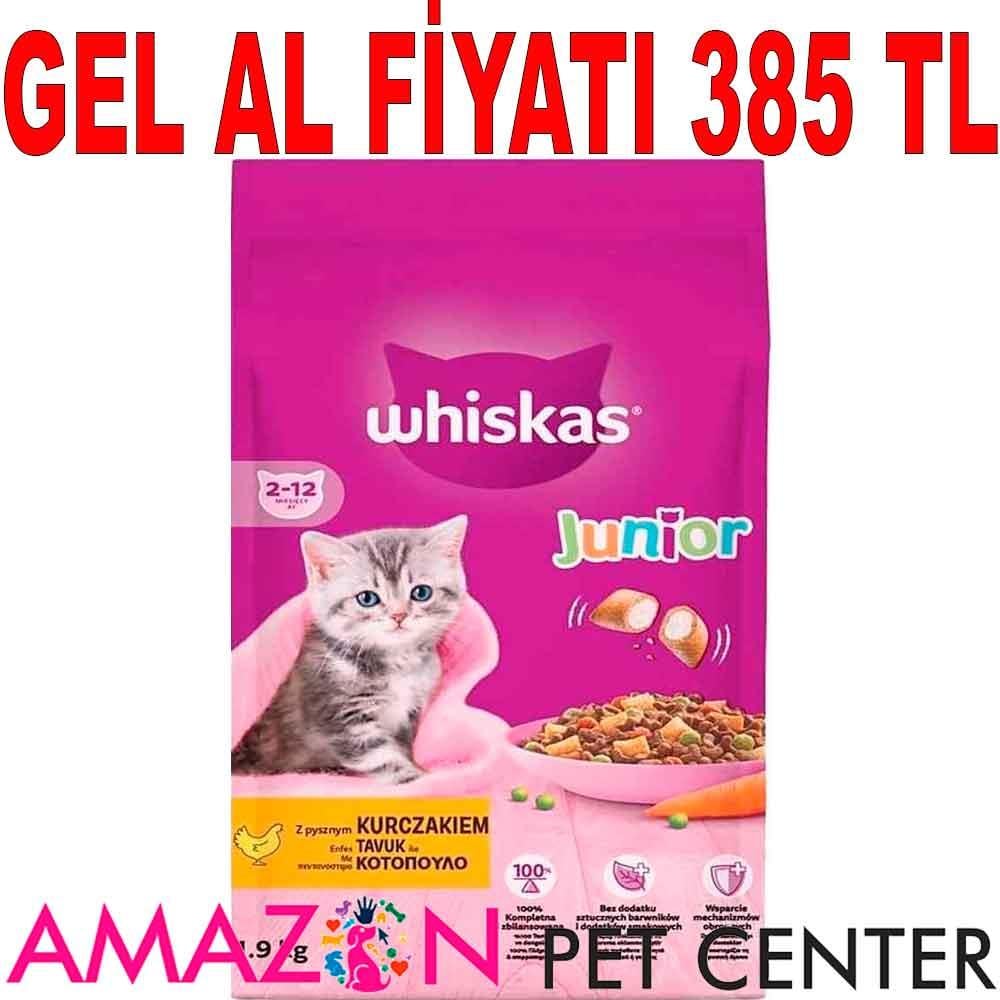 Whiskas Junior Tavuklu Yavru Kedi Maması 1,9 Kg 20251000 Amazon Pet Center